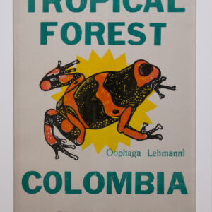 la linterna, frog