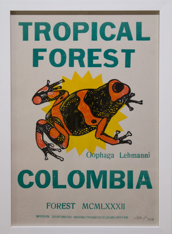 la linterna, frog