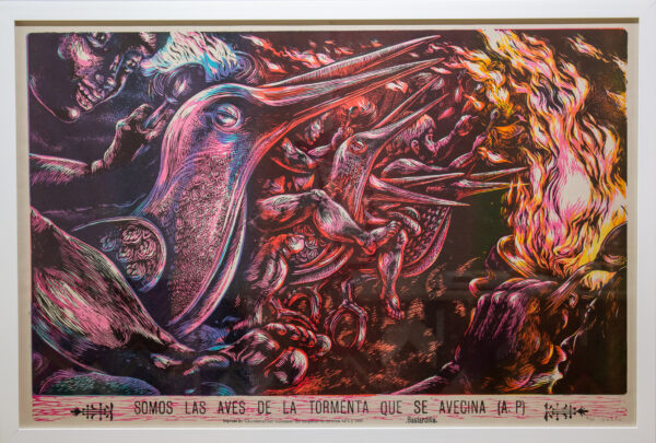 la linterna, birds